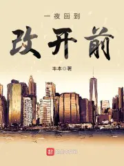 我的绝色小姨